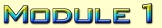Module 1