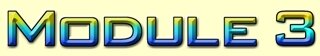 Module 3